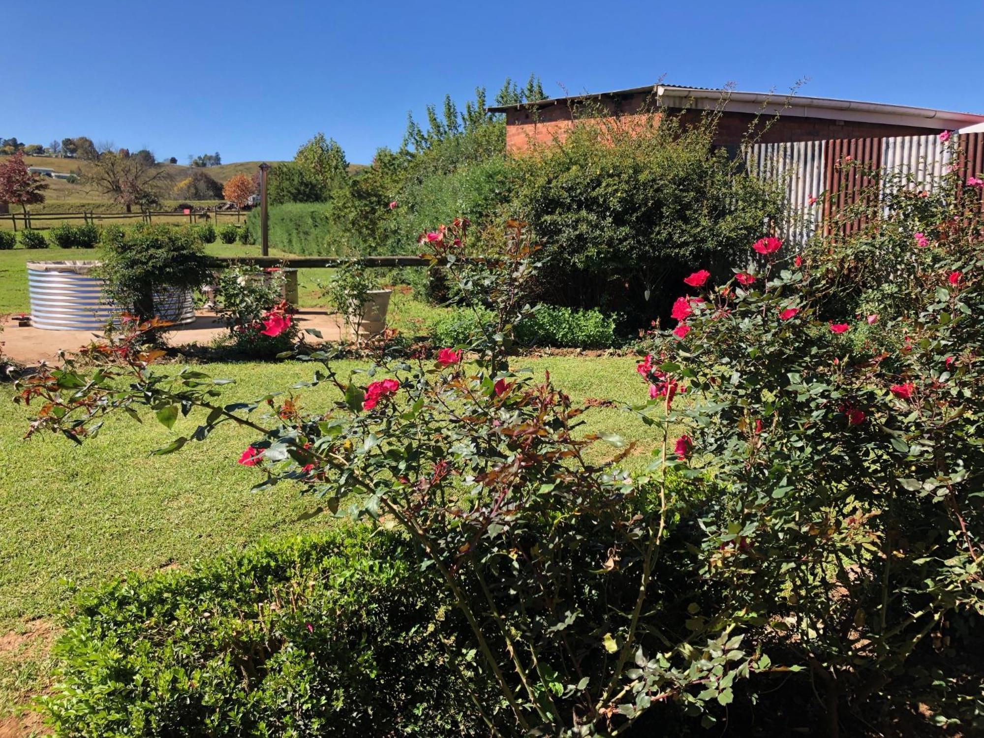 Springvale Farm Villa Nottingham Road Bagian luar foto